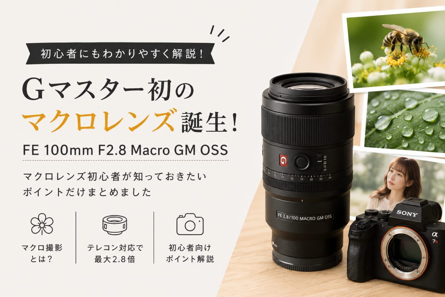 FE 100mm F2.8 Macro GM OSS についてのブログのアイキャッチ画像